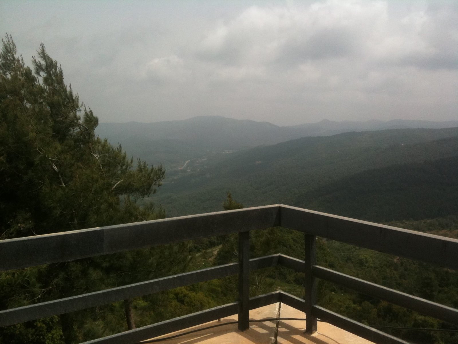 Forested ridges from the balcony of the villa, early morning
