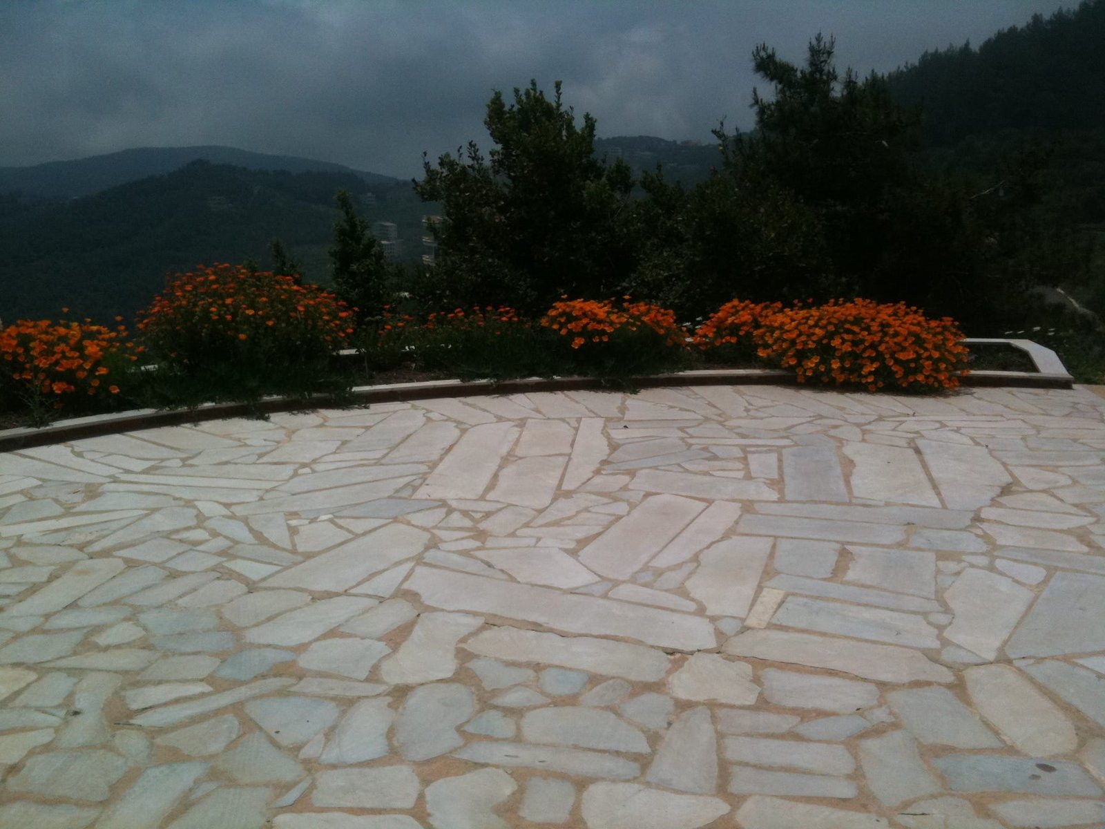 The terrace wall along the northern edge, planted with marigolds