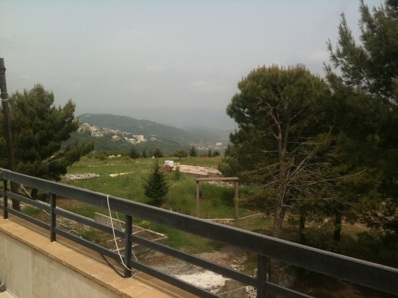 Pines on the eastern boundary, with the valley behind them