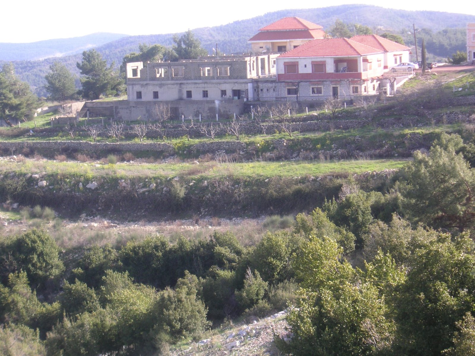 The existing buildings from the access road, terraced into the hillside